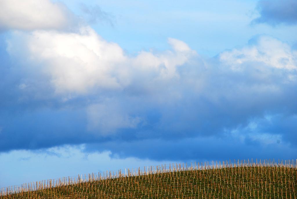 Tenuta Montanello Bed & Breakfast *