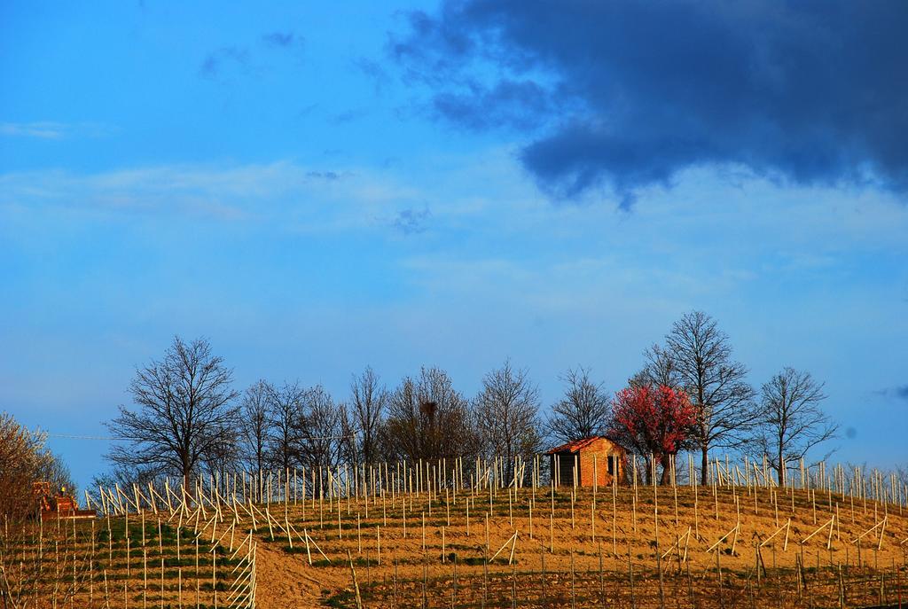 Tenuta Montanello * Castiglione Falletto