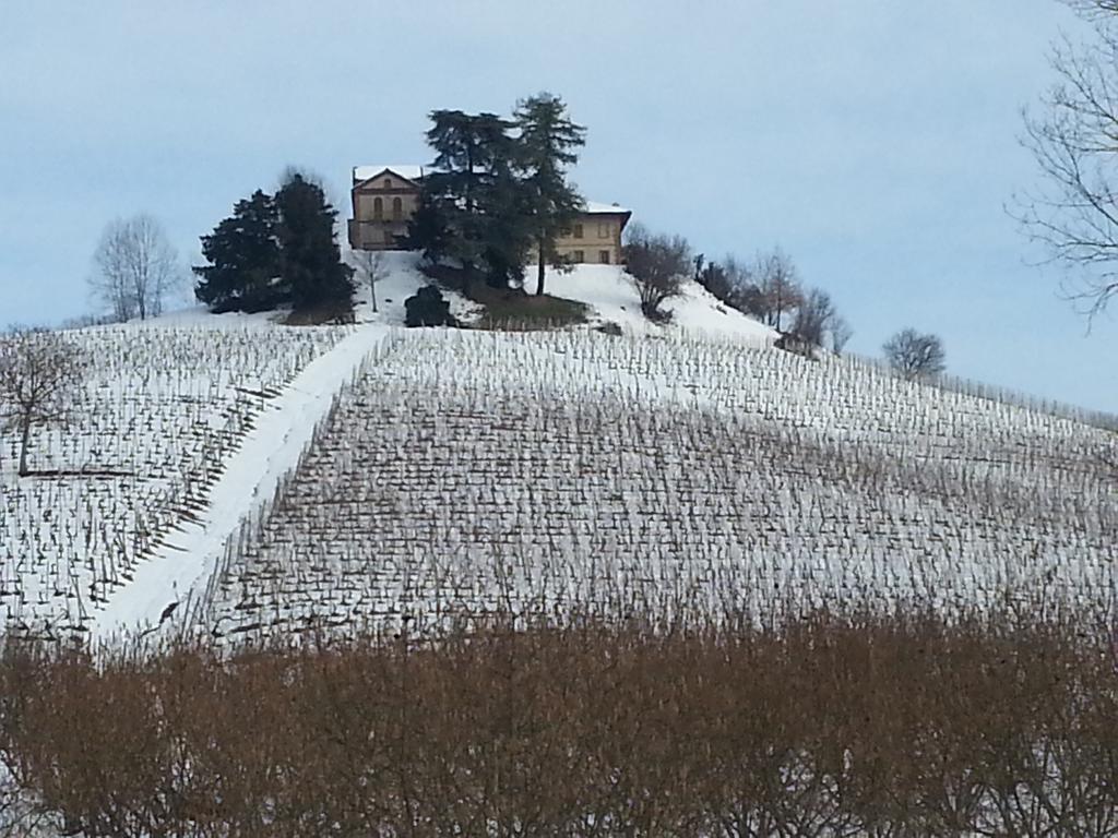 Tenuta Montanello Castiglione Falletto
