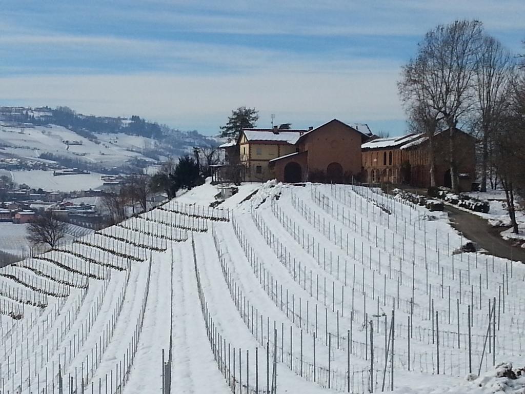 Tenuta Montanello * Castiglione Falletto