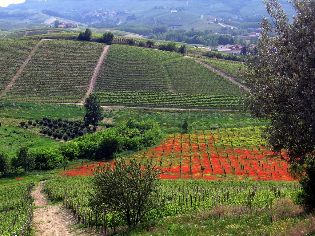 Bed & Breakfast Tenuta Montanello *