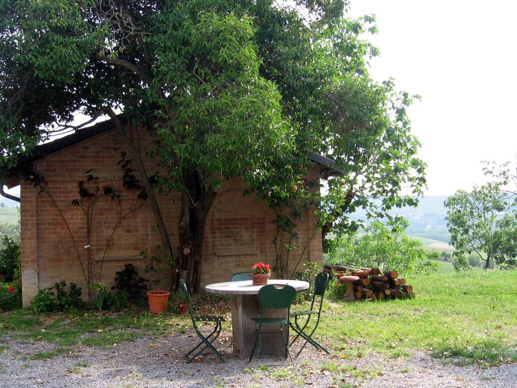 Tenuta Montanello Castiglione Falletto