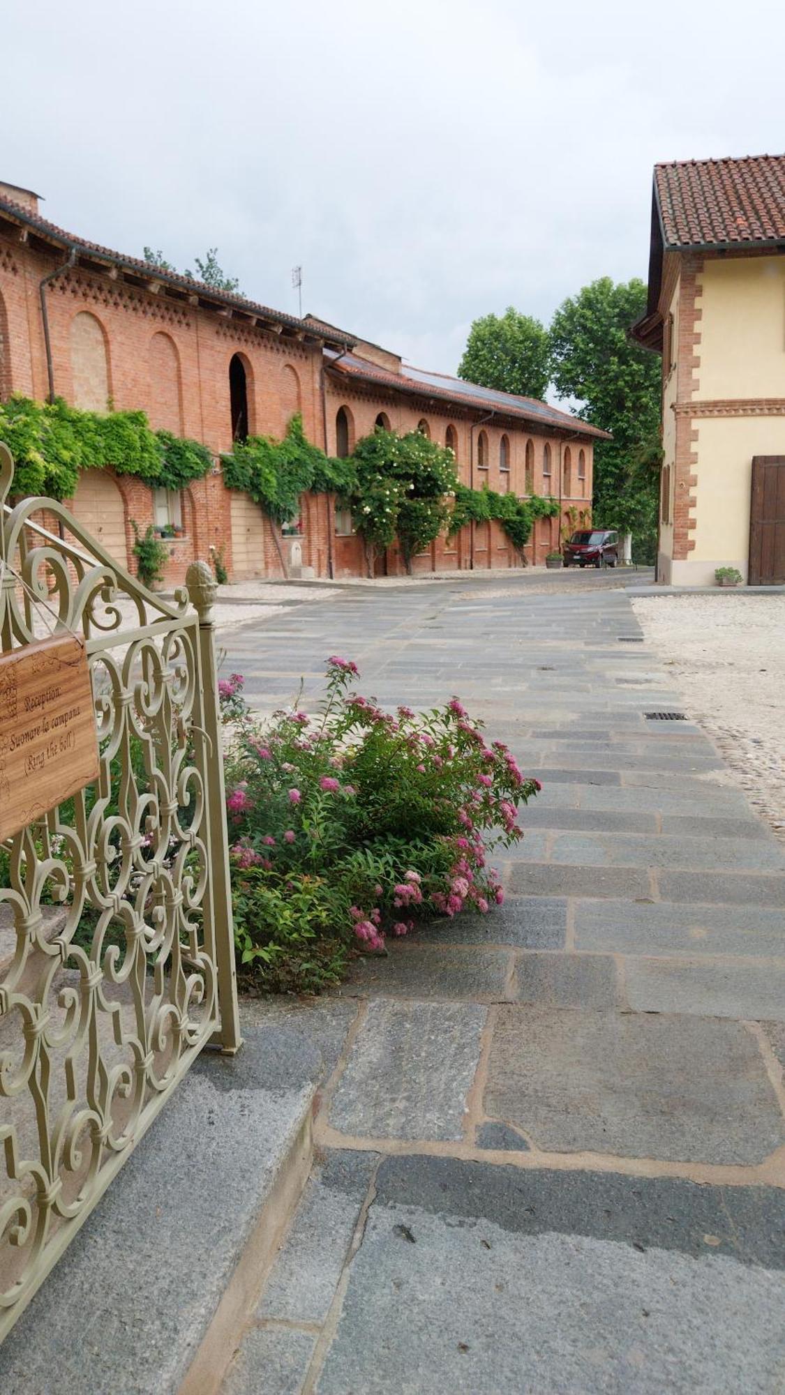 Tenuta Montanello Castiglione Falletto