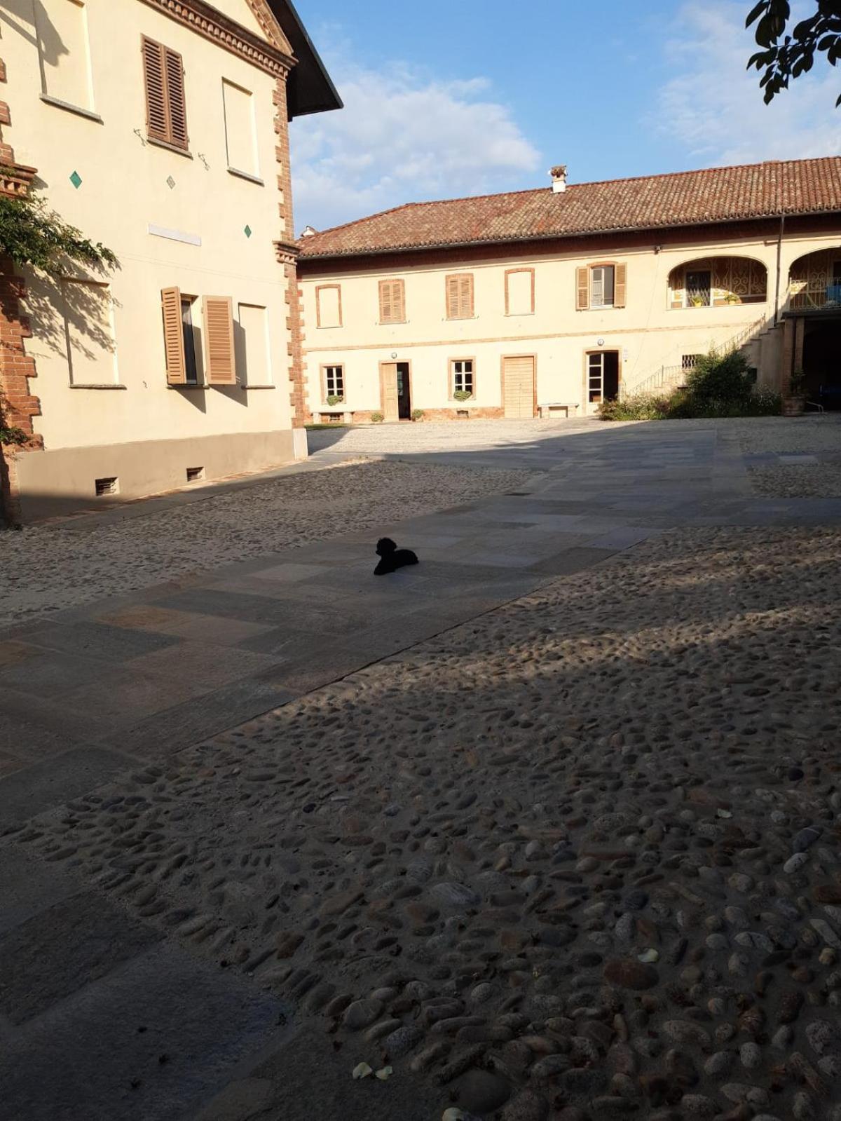 Tenuta Montanello * Castiglione Falletto