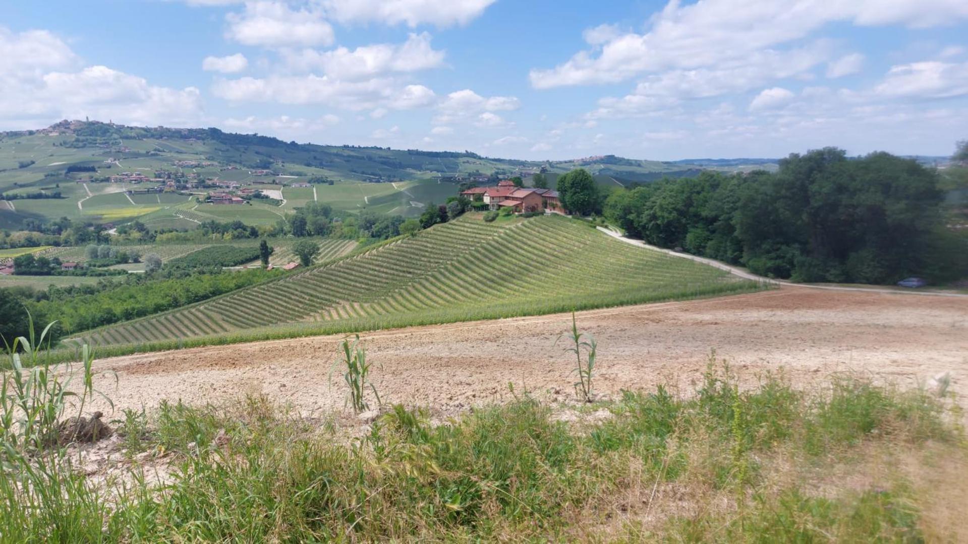 Bed & Breakfast Tenuta Montanello *