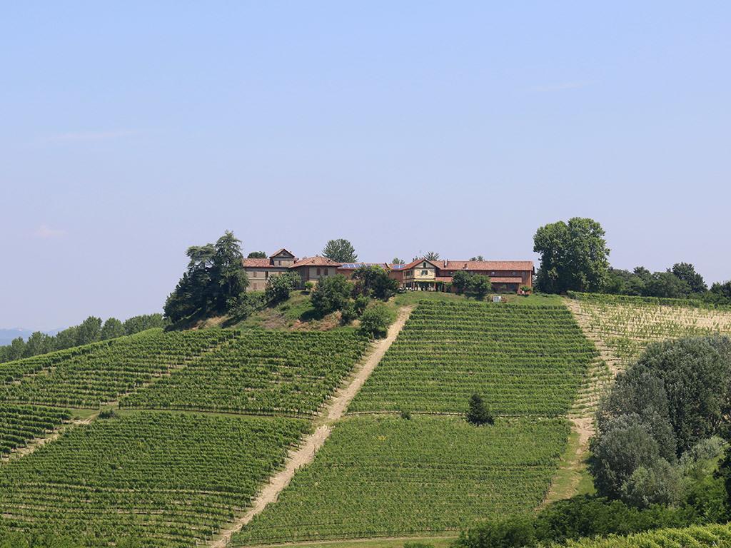 Bed & Breakfast Tenuta Montanello Castiglione Falletto
