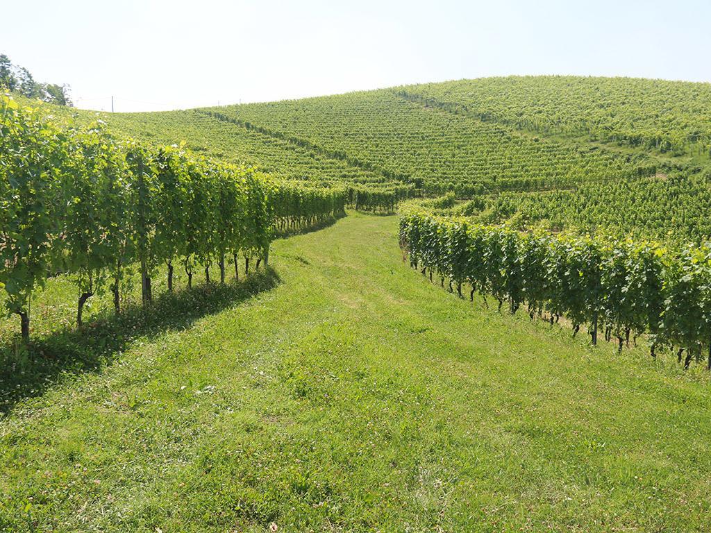Tenuta Montanello *