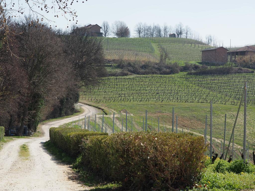 Tenuta Montanello Bed & Breakfast Castiglione Falletto